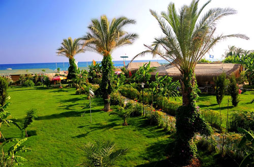 Сад отеля Belek Beach Resort Hotel 5* (Белек Бич Резорт Отель 5*) Фото отеля Belek Beach Resort Hotel 5* (Белек Бич Резорт Отель 5*)