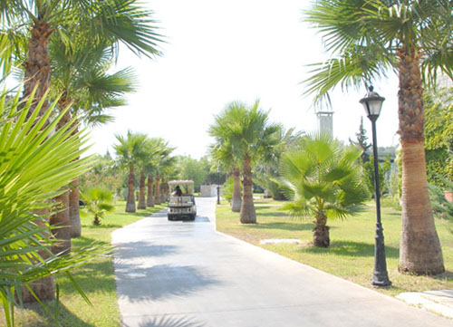 Аллея отеля Simena Holiday Village & Villas HV1 (Симена Холидей Виллэдж энд Виллас HV1) Фото отеля Simena Holiday Village & Villas HV1 (Симена Холидей Виллэдж энд Виллас HV1)