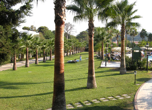 Сад отеля Simena Holiday Village & Villas HV1 (Симена Холидей Виллэдж энд Виллас HV1) Фото отеля Simena Holiday Village & Villas HV1 (Симена Холидей Виллэдж энд Виллас HV1)