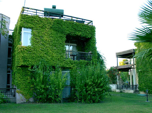 Вилла отеля Simena Holiday Village & Villas HV1 (Симена Холидей Виллэдж энд Виллас HV1) Фото отеля Simena Holiday Village & Villas HV1 (Симена Холидей Виллэдж энд Виллас HV1)