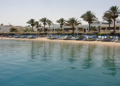Пляж отеля Marlin Inn Beach Resort 4* (Марлин Инн Бич Резорт 4*) Фото отеля Marlin Inn Beach Resort 4* (Марлин Инн Бич Резорт 4*)
