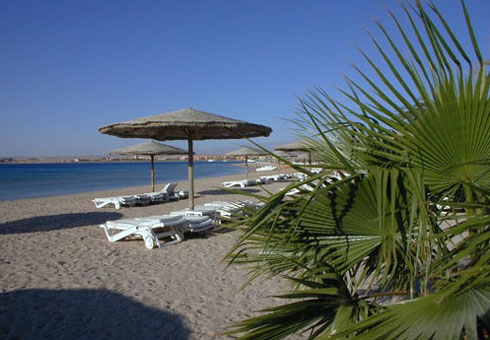 Пляж отеля Fort Arabesque Resort Spa & Villas 5* (Форт Арабески Резорт Спа энд Виллас 5*) Фото отеля Fort Arabesque Resort Spa & Villas 5* (Форт Арабески Резорт Спа энд Виллас 5*)