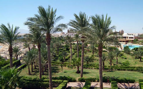 Сад отеля Fort Arabesque Resort Spa & Villas 5* (Форт Арабески Резорт Спа энд Виллас 5*) Фото отеля Fort Arabesque Resort Spa & Villas 5* (Форт Арабески Резорт Спа энд Виллас 5*)