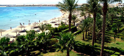 Пляж отеля Fort Arabesque Resort Spa & Villas 5* (Форт Арабески Резорт Спа энд Виллас 5*) Фото отеля Fort Arabesque Resort Spa & Villas 5* (Форт Арабески Резорт Спа энд Виллас 5*)