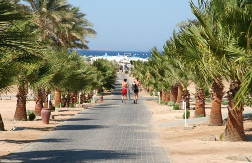 Аллея отеля Coral Beach Resort Hurghada 4* (Корал Бич Резорт Хургада 4*) Фото отеля Coral Beach Resort Hurghada 4* (Корал Бич Резорт Хургада 4*)