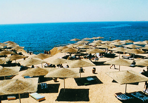 Пляж отеля Sharming Inn 4* (Шарминг Инн 4*) Фото отеля Sharming Inn 4* (Шарминг Инн 4*)