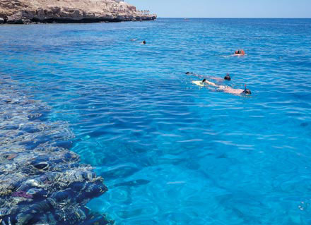 Коралловый риф отеля Continental Plaza Beach Resort 5* (Континенталь Плаза Бич Резорт 5*) Фото отеля Continental Plaza Beach Resort 5* (Континенталь Плаза Бич Резорт 5*)