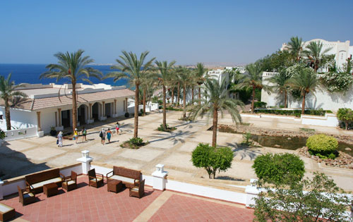 Отель Continental Garden Reef Resort 5* (Континенталь Гарден Риф Резорт 5*) Фото отеля Continental Garden Reef Resort 5* (Континенталь Гарден Риф Резорт 5*)