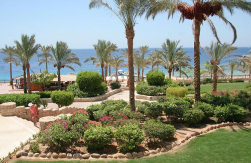 Сад отеля Continental Garden Reef Resort 5* (Континенталь Гарден Риф Резорт 5*) Фото отеля Continental Garden Reef Resort 5* (Континенталь Гарден Риф Резорт 5*)