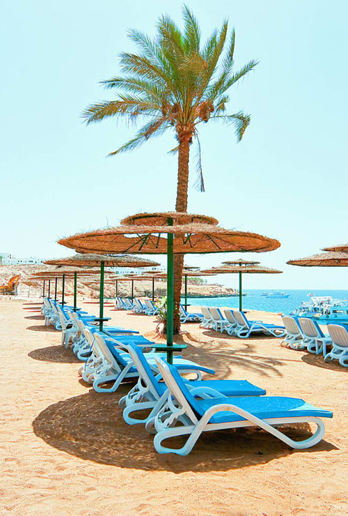 Пляж отеля Continental Garden Reef Resort 5* (Континенталь Гарден Риф Резорт 5*) Фото отеля Continental Garden Reef Resort 5* (Континенталь Гарден Риф Резорт 5*)