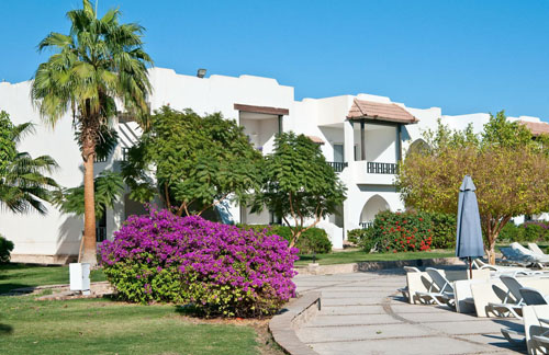 Отель Poinciana Sharm Resort 4* (Пойнсиана Шарм Резорт 4*) Фото отеля Poinciana Sharm Resort 4* (Пойнсиана Шарм Резорт 4*)
