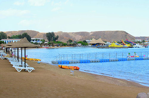 Пляж отеля Poinciana Sharm Resort 4* (Пойнсиана Шарм Резорт 4*) Фото отеля Poinciana Sharm Resort 4* (Пойнсиана Шарм Резорт 4*)