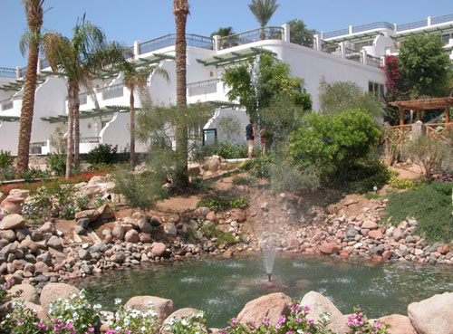 Отель Hilton Sharm Waterfalls Resort 5* (Хилтон Шарм Вотерфолс Резорт 5*) Фото отеля Hilton Sharm Waterfalls Resort 5* (Хилтон Шарм Вотерфолс Резорт 5*)