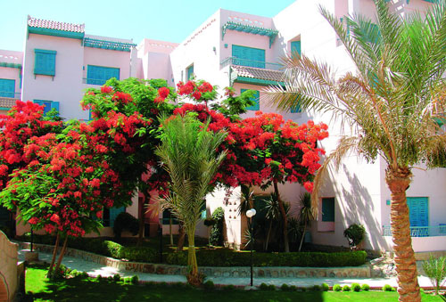 Отель Zahabia Hotel & Beach Resort 3* (Захабия Отель энд Бич Резорт 3*) Фото отеля Zahabia Hotel & Beach Resort 3* (Захабия Отель энд Бич Резорт 3*)