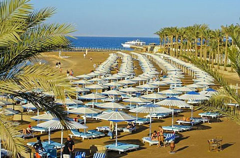 Пляж отеля Dana Beach Resort 5* (Дана Бич Резорт 5*) Фото отеля Dana Beach Resort 5* (Дана Бич Резорт 5*)