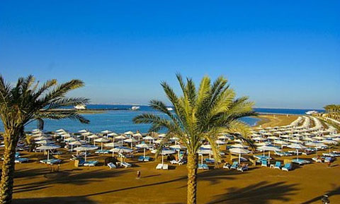 Пляж отеля Dana Beach Resort 5* (Дана Бич Резорт 5*) Фото отеля Dana Beach Resort 5* (Дана Бич Резорт 5*)