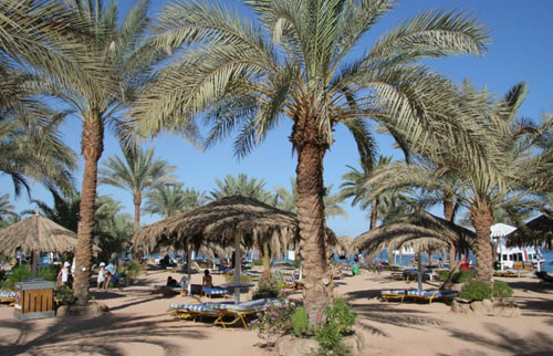 Пляж отеля Hilton Fayrouz Resort 4* (Хилтон Файроуз Резорт 4*) Фото отеля Hilton Fayrouz Resort 4* (Хилтон Файроуз Резорт 4*)