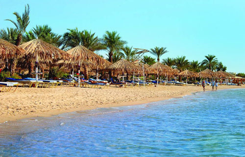 Пляж отеля Hilton Fayrouz Resort 4* (Хилтон Файроуз Резорт 4*) Фото отеля Hilton Fayrouz Resort 4* (Хилтон Файроуз Резорт 4*)