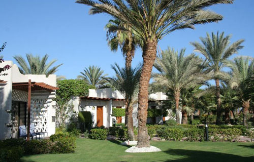 Бунгало отеля Hilton Fayrouz Resort 4* (Хилтон Файроуз Резорт 4*) Фото отеля Hilton Fayrouz Resort 4* (Хилтон Файроуз Резорт 4*)