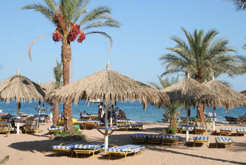 Пляж отеля Hilton Fayrouz Resort 4* (Хилтон Файроуз Резорт 4*) Фото отеля Hilton Fayrouz Resort 4* (Хилтон Файроуз Резорт 4*)