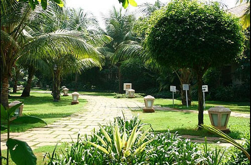 Сад отеля Club Mahindra Varca Beach Resort 4* (Клуб Махиндра Варка Бич Резорт 4*) Фото отеля Club Mahindra Varca Beach Resort 4* (Клуб Махиндра Варка Бич Резорт 4*)