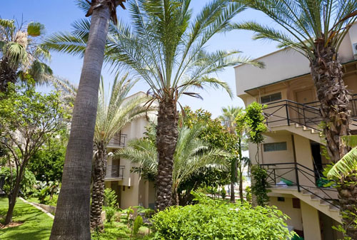 Отель Jasmin Beach Resort 5* (Жасмин Бич Резорт 5*) Фото отеля Jasmin Beach Resort 5* (Жасмин Бич Резорт 5*)
