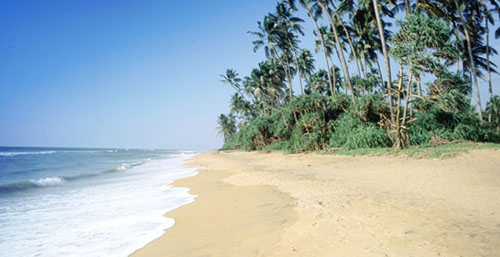 Пляж отеля Hibiscus Beach Hotel & Villas 3* (Хибискус Бич Отель энд Виллас 3*) Фото отеля Hibiscus Beach Hotel & Villas 3* (Хибискус Бич Отель энд Виллас 3*)