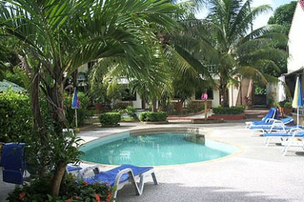 Бассейн отеля Club Coconut Resort 3* (Клуб Коконат Резорт 3*) Фото отеля Club Coconut Resort 3* (Клуб Коконат Резорт 3*)