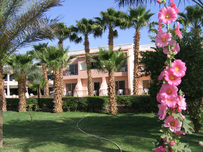 Отель Beach Albatros Resort Hurghada 4* (Бич Альбатрос Резорт Хургада 4*) Фото отеля Beach Albatros Resort Hurghada 4* (Бич Альбатрос Резорт Хургада 4*)