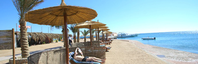 На пляже отеля Beach Albatros Resort Hurghada 4* (Бич Альбатрос Резорт Хургада 4*) Фото отеля Beach Albatros Resort Hurghada 4* (Бич Альбатрос Резорт Хургада 4*) - На пляже