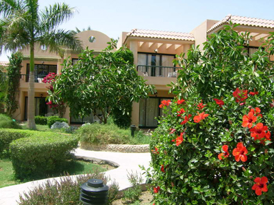 Сад отеля Ali Baba Palace 4* (Али Баба Палас 4*) Фото отеля Ali Baba Palace 4* (Али Баба Палас 4*) - Сад