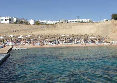 Пляж отеля Dessole Royal Rojana Resort 5* (Дессоль Роял Роджана Резорт 5*) – Шарм-Эль-Шейх - Египет Фото отеля Dessole Royal Rojana Resort 5* (Дессоль Роял Роджана Резорт 5*) – Шарм-Эль-Шейх - Египет