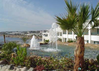 Фонтан в отеле Dessole Royal Rojana Resort 5* (Дессоль Роял Роджана Резорт 5*) – Шарм-Эль-Шейх - Египет Фото отеля Dessole Royal Rojana Resort 5* (Дессоль Роял Роджана Резорт 5*) – Шарм-Эль-Шейх - Египет