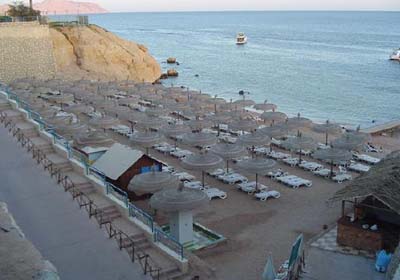 Пляж отеля Dessole Royal Rojana Resort 5* (Дессоль Роял Роджана Резорт 5*) – Шарм-Эль-Шейх - Египет Фото отеля Dessole Royal Rojana Resort 5* (Дессоль Роял Роджана Резорт 5*) – Шарм-Эль-Шейх - Египет