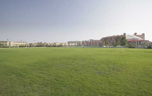 Футбольное поле отеля Selge Beach Resort & Spa 5* (Сельге Бич Резорт энд Спа 5*) Фото отеля Selge Beach Resort & Spa 5* (Сельге Бич Резорт энд Спа 5*)