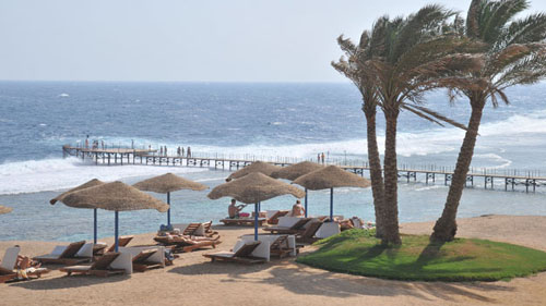 Пляж отеля Resta Reef Resort 4* (Реста Риф Резорт 4*) Фото отеля Resta Reef Resort 4* (Реста Риф Резорт 4*)