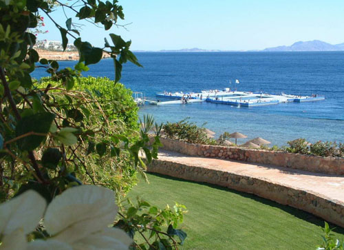 Пляж отеля Domina Coral Bay Oasis 5* (Домина Корал Бей Оазис 5*) Фото отеля Domina Coral Bay Oasis 5* (Домина Корал Бей Оазис 5*)
