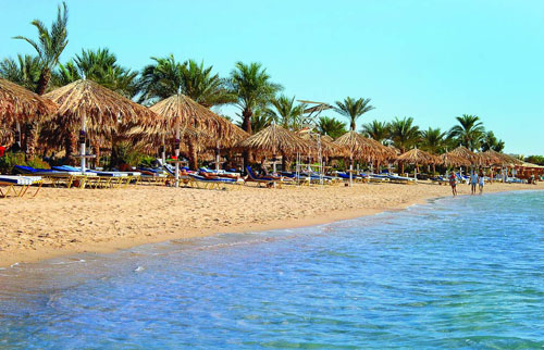 Пляж отеля Hilton Sharm Dreams Resort 5* (Хилтон Шарм Дримс Резорт 5*) Фото отеля Hilton Sharm Dreams Resort 5* (Хилтон Шарм Дримс Резорт 5*)