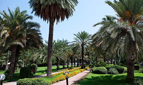 Парк отеля Queens Park Goynuk 5* (Квинс Парк Гейнюк 5*) Фото отеля Queens Park Goynuk 5* (Квинс Парк Гейнюк 5*)