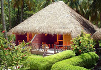 Отель Bandos Maldives 5* (Бандос Мальдивы 5*) Фото отеля Bandos Maldives 5* (Бандос Мальдивы 5*)