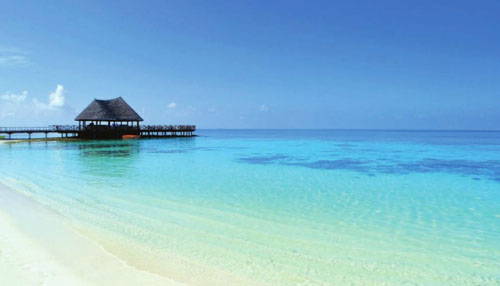 Пляж отеля Bandos Maldives 5* (Бандос Мальдивы 5*) Фото отеля Bandos Maldives 5* (Бандос Мальдивы 5*)