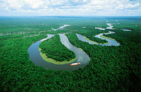 Фото - Джунгли Амазонии