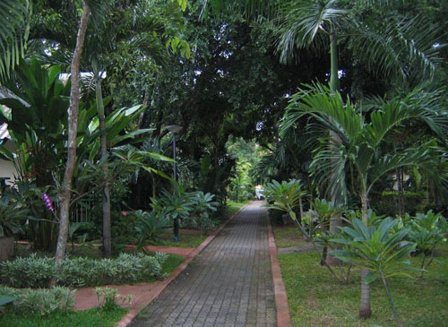 Отель Pattaya Garden Hotel 3* (Паттайя Гарден Отель 3*) Фото отеля Pattaya Garden Hotel 3* (Паттайя Гарден Отель 3*)