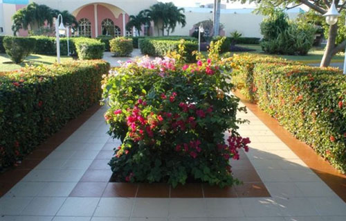Отель Brisas Del Caribe 4* (Бризас Дель Кариб 4*) Фото отеля Brisas Del Caribe 4* (Бризас Дель Кариб 4*)