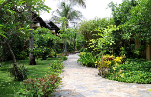Отель White Sands Resort 3* (Вайт Сандс Резорт 3*) Фото отеля White Sands Resort 3* (Вайт Сандс Резорт 3*)