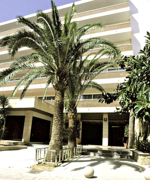 Отель Ipanema Park 3* (Ипанема Парк 3*) Фото отеля Ipanema Park 3* (Ипанема Парк 3*)