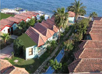 Отель Club Star Beach Hotel 4* (Клуб Стар Бич Отель 4*) Фото отеля Club Star Beach Hotel 4* (Клуб Стар Бич Отель 4*)