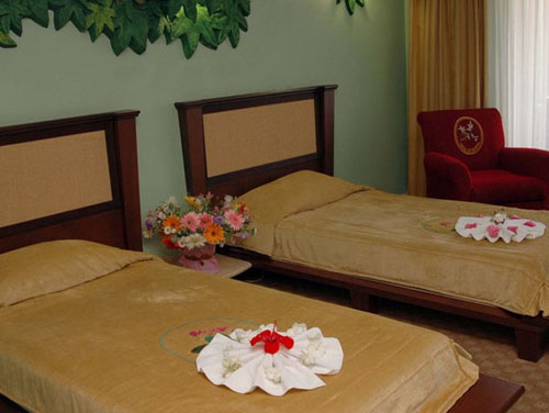 Номер отеля Holiday Area Eco Dream Club Green Resort HV1 5* (Холидей Эреа Эко Дрим Клуб Грин Резорт HV1 5*) Фото отеля Holiday Area Eco Dream Club Green Resort HV1 5* (Холидей Эреа Эко Дрим Клуб Грин Резорт HV1 5*)