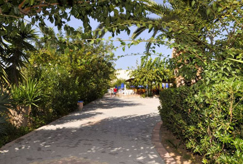 Отель Armonia Beach 3* (Армония Бич 3*) Фото отеля Armonia Beach 3* (Армония Бич 3*)