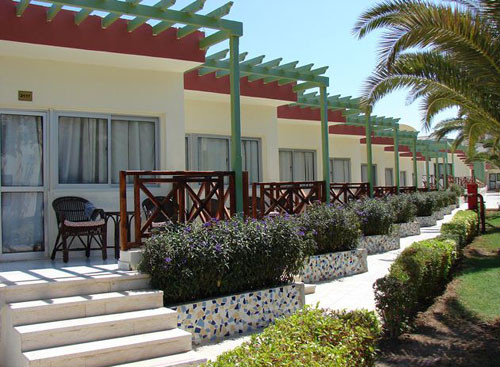 Отель Festival Shedwan Golden Beach Resort 3* (Фестиваль Шедван Голден Бич Резорт 3*) Фото отеля Festival Shedwan Golden Beach Resort 3* (Фестиваль Шедван Голден Бич Резорт 3*)